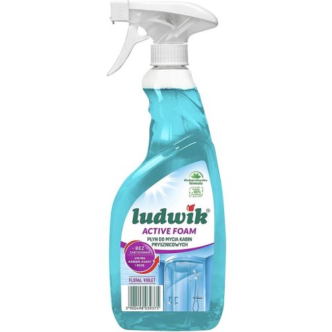 Pianka Ludwik 600ml do czyszczenia kabin prysznicowych LUDWIK