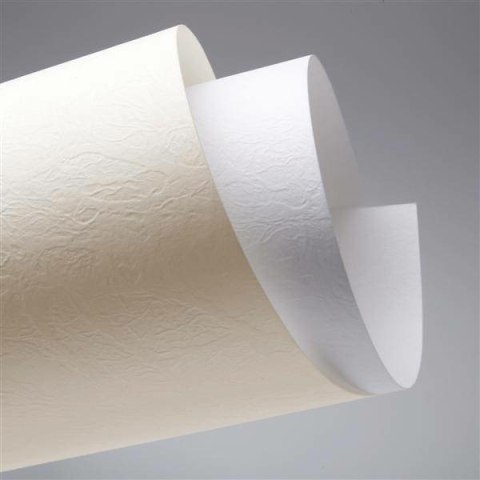 KARTON OZDOBNY A4/230g SKÓRA BIAŁY (20) Galeria Papieru