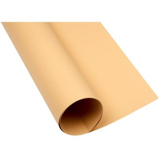 Karton Oxford A1 160g jasnobrązowy Oxford