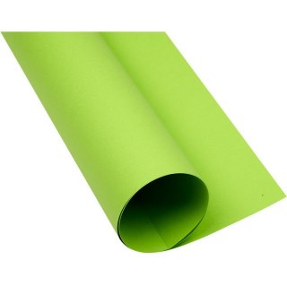 Karton Oxford A1 160g jasnozielony Oxford