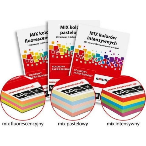 Papier Emerson A4/80g intensywny 5 kolorów (5x50) Emerson