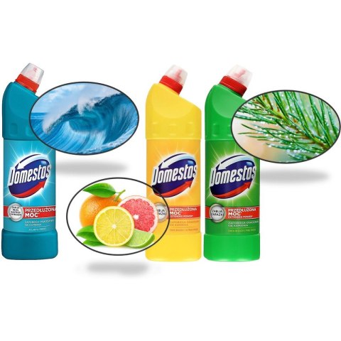 Płyn do WC Domestos 1L Atlantic Domestos