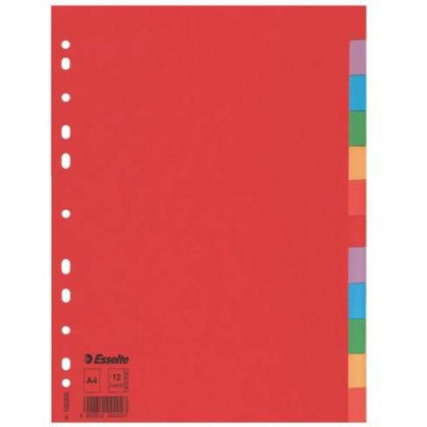 PRZEKŁADKI KARTONOWE ESSELTE A4 12 KART Esselte