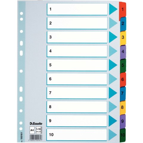 PRZEKŁADKI MYLAR ESSELTE A4 1-10 Esselte