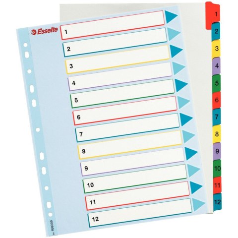 PRZEKŁADKI MYLAR ESSELTE A4 1-12 Esselte