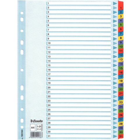 PRZEKŁADKI MYLAR ESSELTE A4 1-31 Esselte