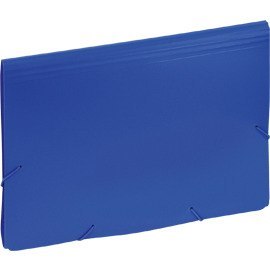 TECZKA EAGLE 12 PRZEGRÓDEK NIEBIESKA Eagle