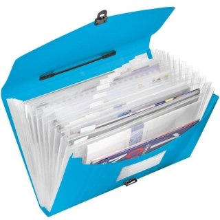 TECZKA ESSELTE VIVIDA 12 PRZEGRÓDEK NIEBIESKA Esselte