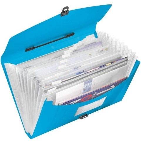 TECZKA ESSELTE VIVIDA 12 PRZEGRÓDEK NIEBIESKA Esselte