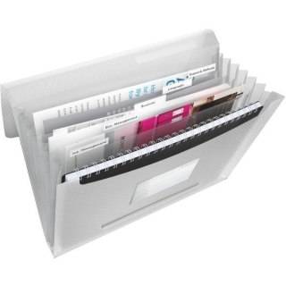 TECZKA ESSELTE VIVIDA 6 PRZEGRÓDEK BIAŁA Esselte