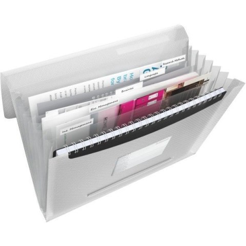 TECZKA ESSELTE VIVIDA 6 PRZEGRÓDEK BIAŁA Esselte