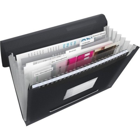 TECZKA ESSELTE VIVIDA 6 PRZEGRÓDEK CZARNA Esselte