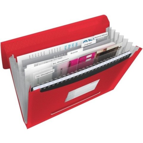 TECZKA ESSELTE VIVIDA 6 PRZEGRÓDEK CZERWONA Esselte