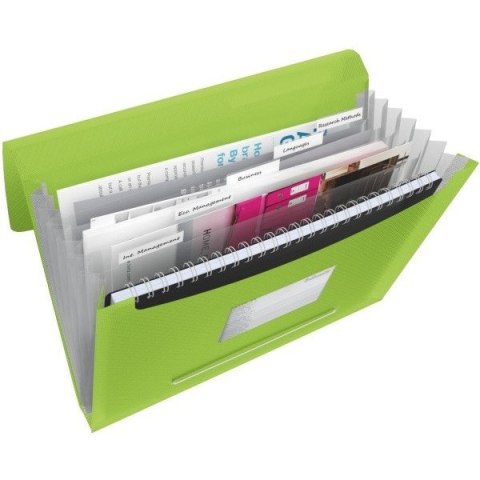 TECZKA ESSELTE VIVIDA 6 PRZEGRÓDEK ZIELONA Esselte