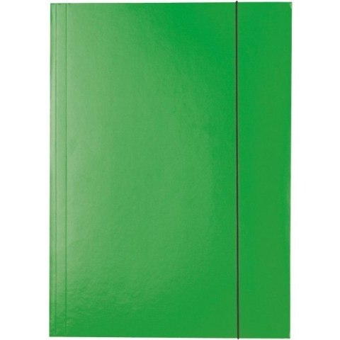 TECZKA KARTONOWA Z GUMKĄ ESSELTE A4/400g ZIELONA Esselte