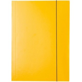 TECZKA KARTONOWA Z GUMKĄ ESSELTE A4/400g ŻÓŁTA Esselte