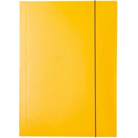 TECZKA KARTONOWA Z GUMKĄ ESSELTE A4/400g ŻÓŁTA Esselte