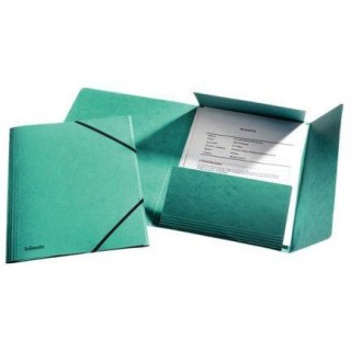 TECZKA PRESZPANOWA Z GUMKĄ ESSELTE A4 ZIELONA Esselte