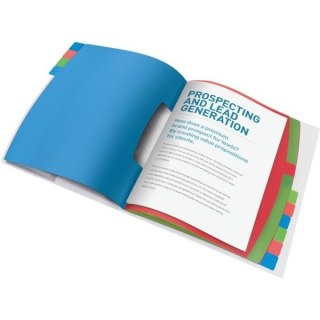 TECZKA SEGREGUJĄCA ESSELTE VIVIDA 12 PRZEKŁADEK Esselte