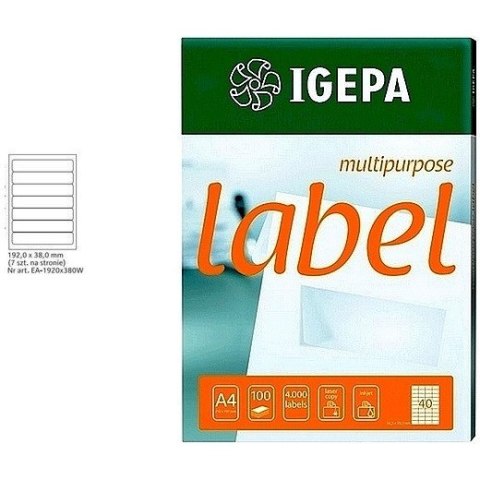 ETYKIETY A4 IGEPA 192*38,0mm BIAŁE (100) Igepa