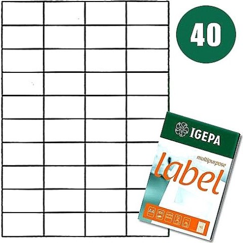 ETYKIETY A4 IGEPA 52,5*29,7mm BIAŁE (100) Igepa