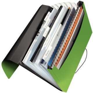 TECZKA LEITZ SOLID 6 PRZEGRÓDEK ZIELONA Leitz