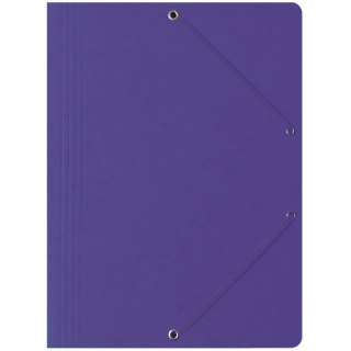 TECZKA PRESZPANOWA Z GUMKĄ BANTEX A4 FIOLETOWA Bantex