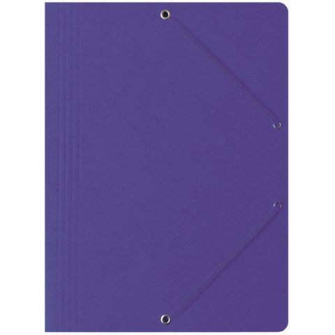 TECZKA PRESZPANOWA Z GUMKĄ BANTEX A4 FIOLETOWA Bantex