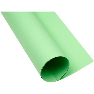 Karton Oxford A1 160g groszkowy Oxford