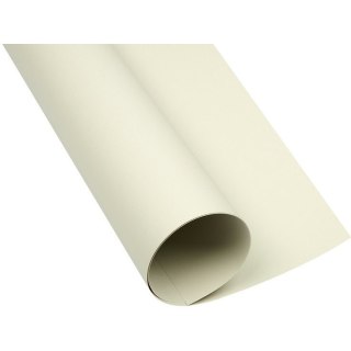 Karton Oxford A1 160g jasnoszary Oxford